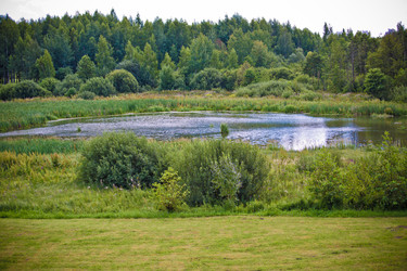 Similar image 21477765