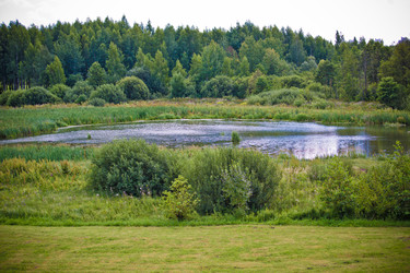 Similar image 21477766