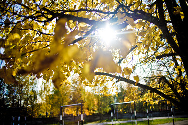 Similar image 21477769