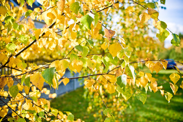 Similar image 21477772