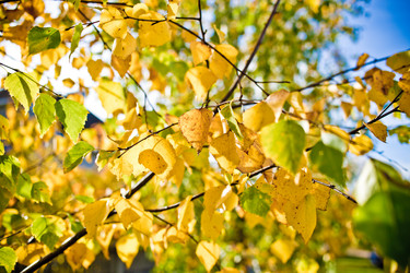 Similar image 21477901