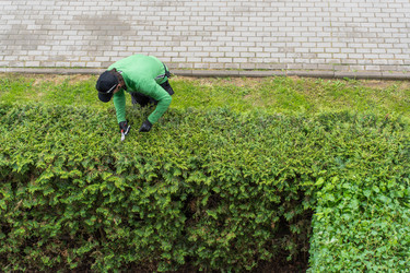 Similar image 21477629