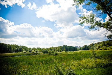 Similar image 21477906