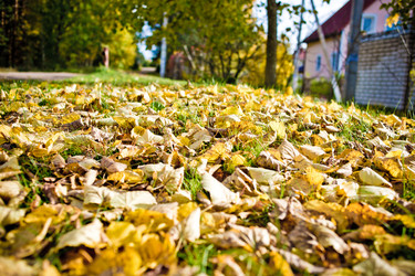 Similar image 21477907