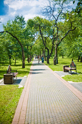 Similar image 21477915