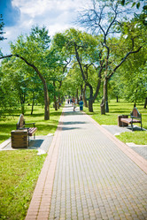 Similar image 21477916