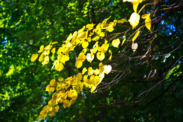 Similar image 21477923