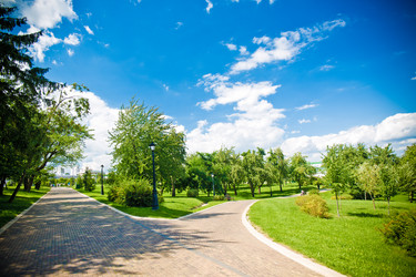 Similar image 21477925