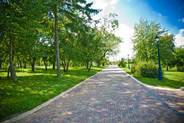 Similar image 21477926