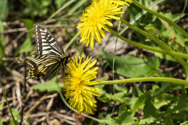 Similar image 21477638