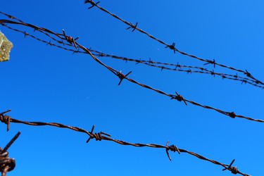 Similar image 21478345