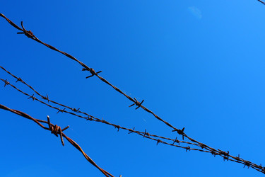 Similar image 21478346