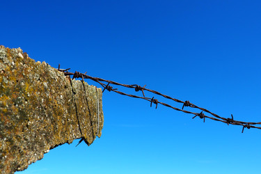 Similar image 21478347