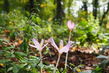 Similar image 21478359