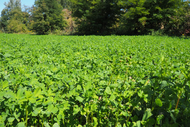 Similar image 21478378