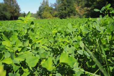 Similar image 21478379