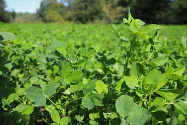 Similar image 21478380