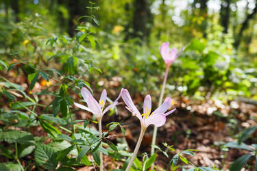 Similar image 21478382