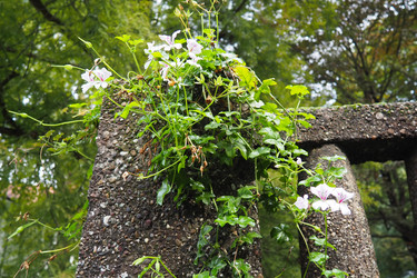 Similar image 21478389