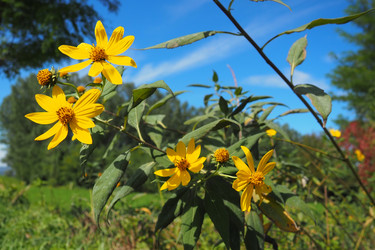 Similar image 21478413