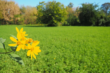 Similar image 21478415