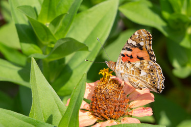 Similar image 21477440