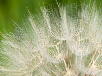 Similar image 21477443