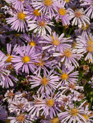 Similar image 21477446