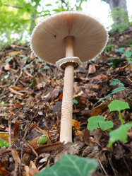 Similar image 21478430