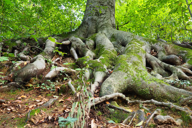 Similar image 21478441