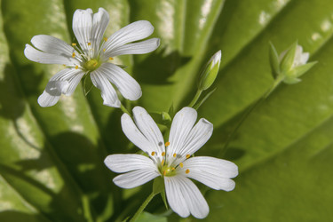 Similar image 21477448