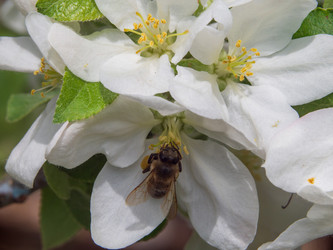 Similar image 21477453