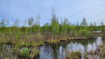 Similar image 21477670