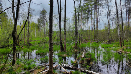 Similar image 21477671