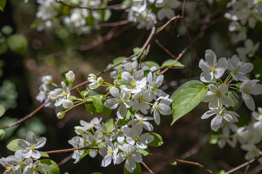 Similar image 21479181