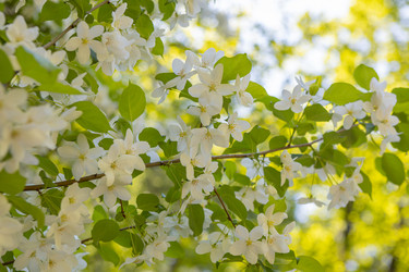 Similar image 21479183