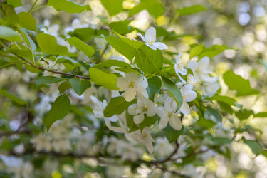 Similar image 21479184