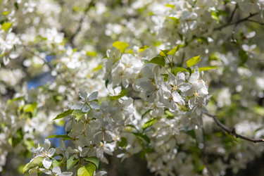 Similar image 21479185