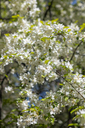 Similar image 21479186