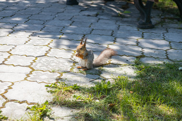 Similar image 21479187