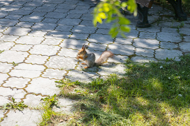 Similar image 21479188