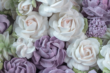 Similar image 21479192