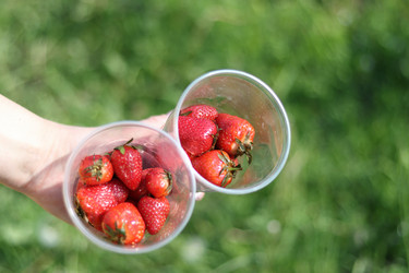 Similar image 21477785