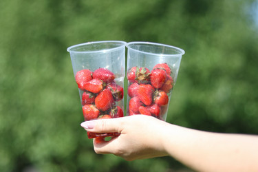 Similar image 21477789