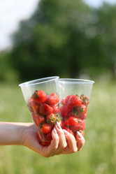 Similar image 21477791