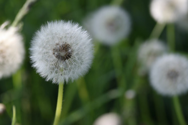 Similar image 21477802