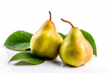 Similar image 21477936