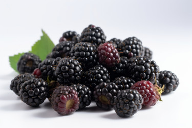 Similar image 21477944