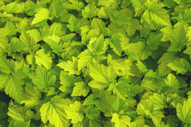 Similar image 21479036