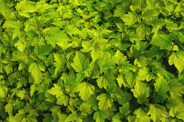 Similar image 21479038